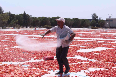 Torbalının kırmızı altınları serildi