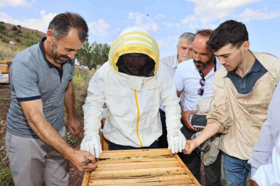 Sivas bal üretiminde zirvede