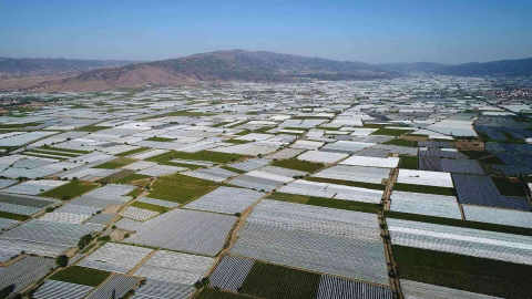 Sarıgöl Ovası beyaza büründü