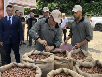 Serbest piyasada 46 lira olan fındığı randıman farkı ile TMOya 57.75 liradan sattı