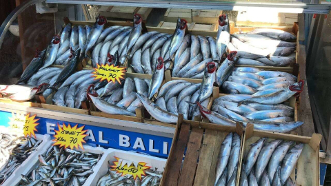 Akçakocada balık tezgahları renklendi