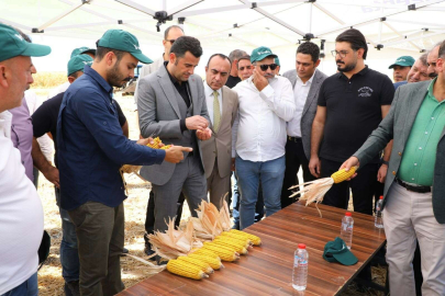 Yenişehir ilçesinde mısır hasadında rekolte 30 bin tonu geçti