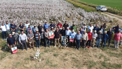 Pamuk tarlasında yeni çeşitler konuşuldu