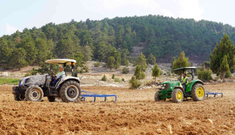 Ücretsiz tohum ve ekimle Toroslarda boş tarlalar üretime katılıyor