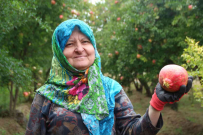 Deve Dişi narında üretici bu yıl rekolteden memnun, fiyatlardan değil