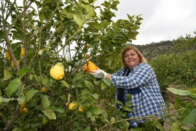 Başkan Erdemden yatırımcılara çağrı: Tarım için Ceyhanı seçin