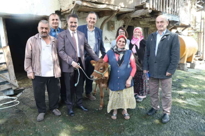 Atakumda çiftçinin yüzü gülüyor