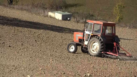 Türkiyenin en ucuz ekmeği artık bu tarladan çıkacak