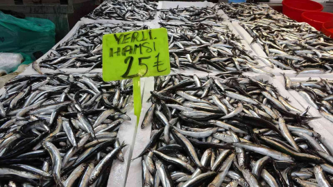 Hamsi avı bollaştı, fiyatı yarı yarıya düştü