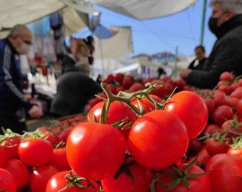 İstanbulda Kasım ayında en çok domates pahalandı