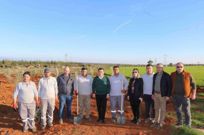 Zeytin Çiftliğinden elde edilecek gelirin tamamı 35 bin öğrenciye burs olacak