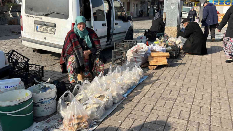 Yaban mantarları köylünün gelir kapısı oldu