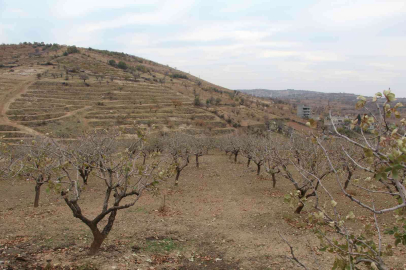 Kuraklık baş gösterdi, çiftçilere yağmur duasına çıkın çağrısı