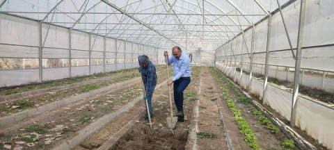 Çukurca Belediyesinin seralarında yeni ürünlerin ekimine başlandı