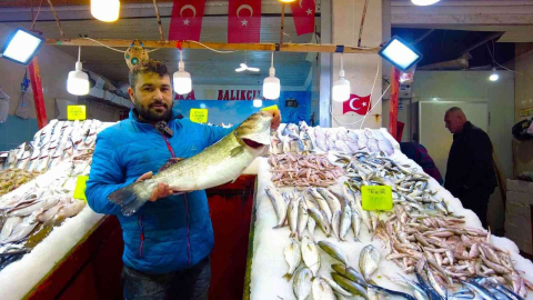 İzmir Foça tezgahlarında levrek bolluğu