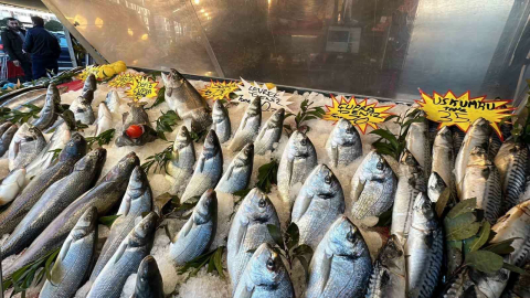 Havalar ısındı, balık fiyatları düştü