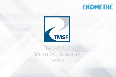 TMSF bünyesindeki iki şirketi satışa çıkardı