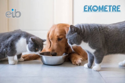 Kedi köpek mamasında ihracat hedefi 140 milyon dolar